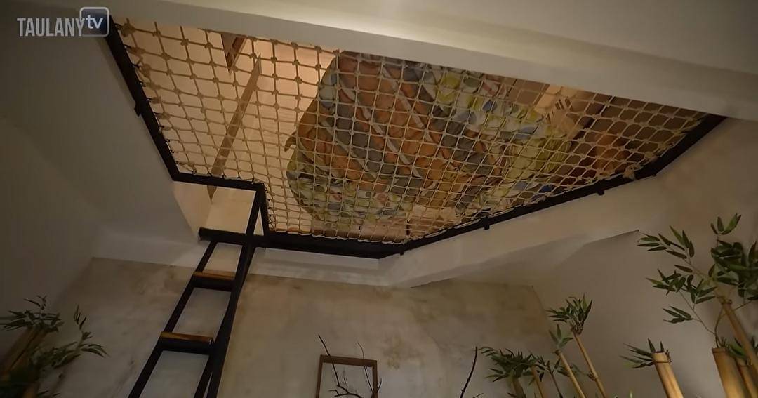 YouTube.com/TAULANY TV